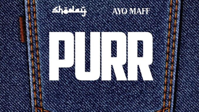 Shoday - PURR Ft. Ayo Maff