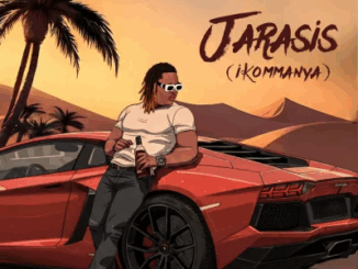 Anyidons - Jarasis (Ikommanya)