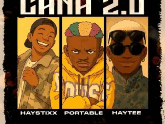 Haystixx - Cana Ft. Portable & Haytee (Remix)