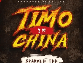 Sparkle Tee - Timo In China