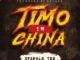 Sparkle Tee - Timo In China