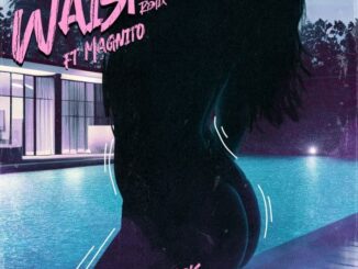 2slik - Waist (Remix) Ft. Magnito