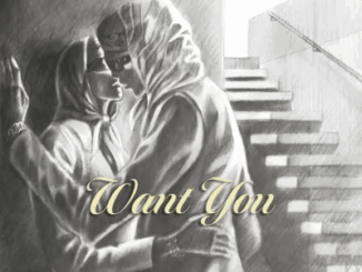 Spinall - Want You Ft. JayO & DESTIN CONRAD