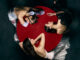 Jerry Heil - Love Me Hard