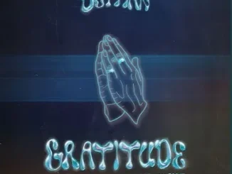 Dotman - Gratitude