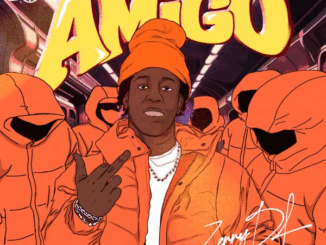 Zerrydl - My Amigo