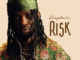 Kaptain - Risk