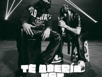 Alemán - Te Quería Ver (Letra) Ft. Neton Vega