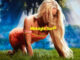 Zara Larsson - Midnight Sun