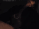 Korede Bello - Sugar