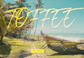 DarkoVibes - Toffee Ft. Xlimkid Visualiser