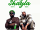 Mavins - My Shayla Ft. Mbryo & Magixx
