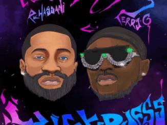 Ric Hassani - Wickedness Ft. Terry G