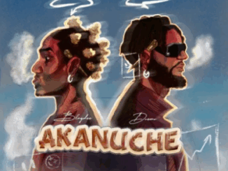 Blaqdee - Akanuche Ft. Dremo
