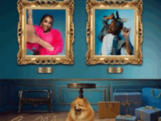 Lady Zamar - Show Me Ft. Fido