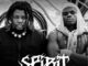 Vicoka - Spirit Ft. Wizard Chan