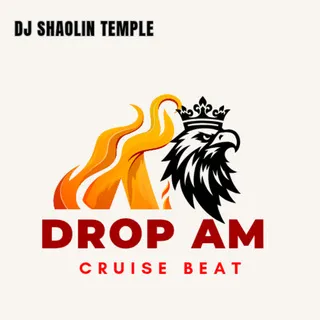 5dd8b3e7d5b5474897d1656dd5dee6a9H1500W1500_320_320 Dj Shaolin Temple – Drop Am Cruise Beat