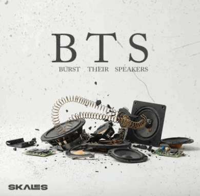 Skales - B.T.S (Burst Their Speakers) Skales - B.T.S (Burst Their Speakers)