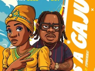 Iya Solo – Is a Gaju ft. Qdot